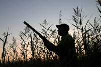 chasse chasse
